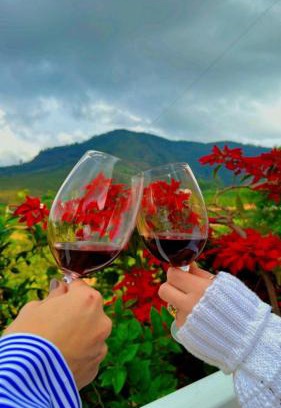 Espera Feliz Other | chalecachoeiradochiador