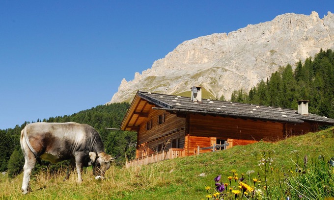 Obereggen Ski Chalet | Chalet, alpine hut, ski hut in the middle of the ski area, vacation apartment