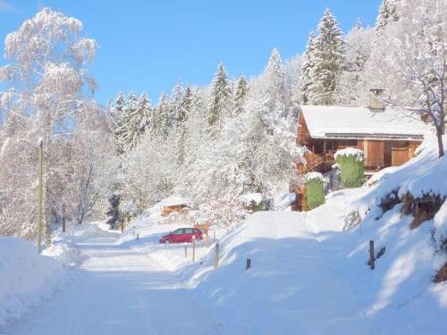 Queige Ski Chalet | Chalet de Marie proche des Saisies