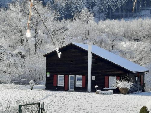 Ban-sur-Meurthe-Clefcy House | Chalet familial avec grand jardin et équipements pour enfants, à 500m du centre de Ban-sur-Meurthe - FR-1-589-33