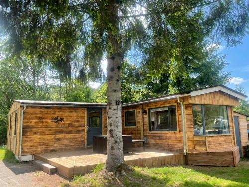 Saint-Maurice-sur-Moselle Other | Chalet 9 personnes, piscine, terrasse