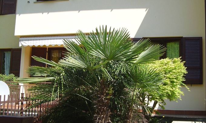 Paratico House | Chalet Franciacorta, near the lake, pets allowed.