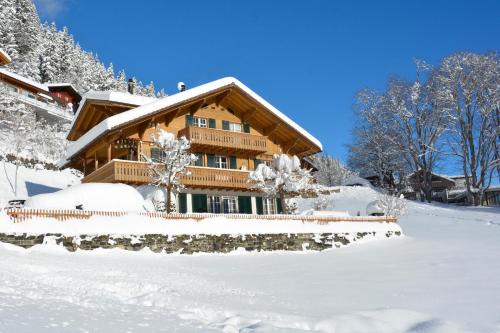 Adelboden Apartment | Chalet Gsür