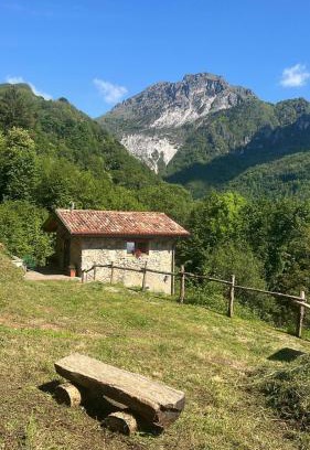 Pertica Bassa Ski Chalet | Chalet il Nocciolo