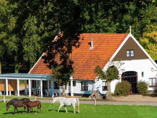 Ootmarsum Ski Chalet | Chalet in Netherlands with Private Garden