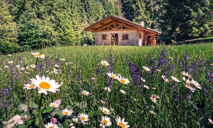Ragoli House | Chalet inside the Nature for 4 People