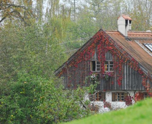 Pitzling Apartment | Chalet Landsberg