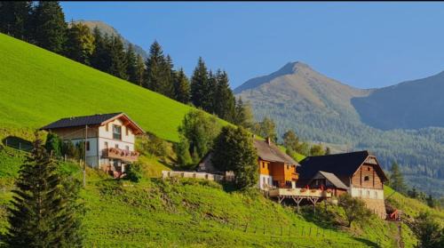 Michaelerberg Ski Chalet | Chalet Leo