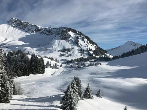 Les Deux Alpes Resort | Chalet Les 3 Ours by Leavetown Vacations