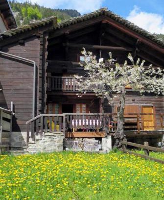 Borca Ski Chalet | Chalet Martina