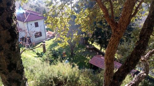 Lamezia Terme Bed & Breakfast | Chalet Reventino
