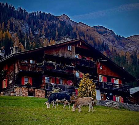 Granvilla Apartment | Chalet Sappada