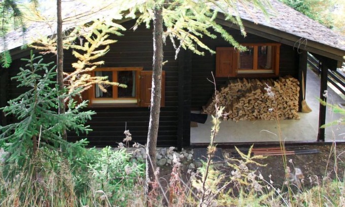 Bellwald House | Chalet Soldanella (BEL205) by Interhome
