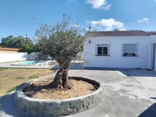 Chiclana de la Frontera House | Chalet Vacacional ELIÁ -Piscina Privada, BBQ, Wifi