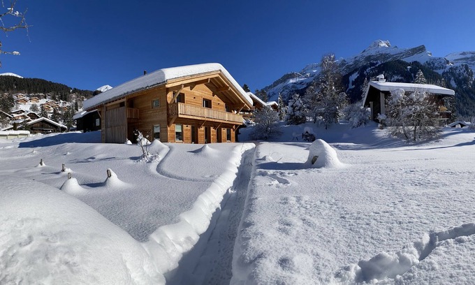 Ormont-Dessus Ski Chalet | Chalet Vicky and Nino nice new apartment