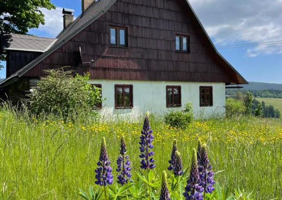 Ricky v Orlickych horach House | Chalupa u kapličky Říčky v Orlických horách