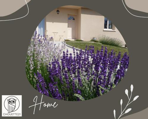 Prenois Bed & Breakfast | Chambre d'hôtes proximité Circuit Prenois