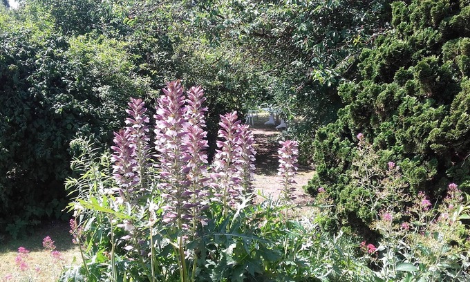 Saint-Aubin-Les-Elbeuf Bed & Breakfast | Chambre du Jardin Fleuri
