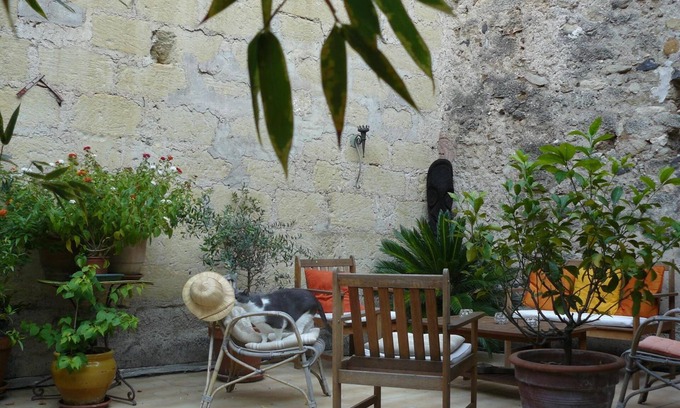 Pezenas Bed & Breakfast | Chambres d'Hôtes de Fleurus