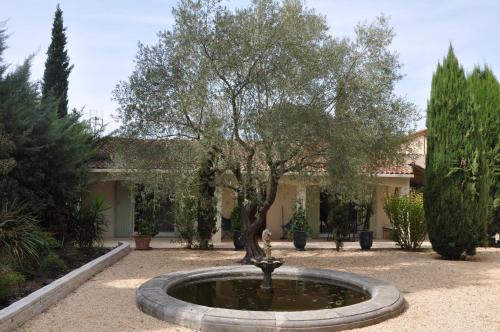 Malbosc Bed & Breakfast | Chambres d'hôtes sous l'olivier