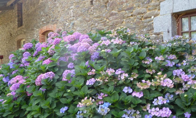 Roz-Landrieux Bed & Breakfast | Chambres Les Champs de Roz