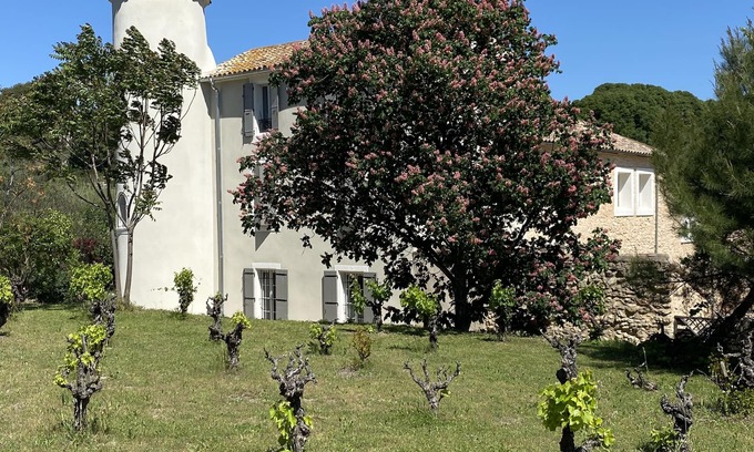 Quarante House | Character country property surrounded by vineyards