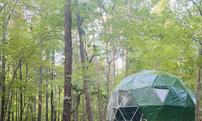 Bowling Green Cabin | Charlotte Glamping Dome- Fawn and Fern Hideaway