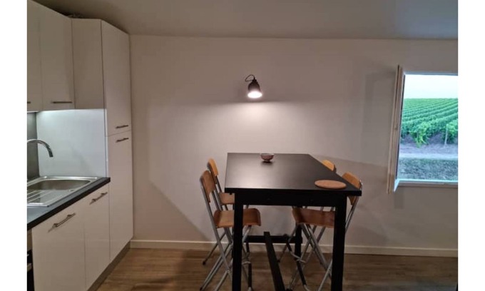 Villeneuve-les-Maguelone Apartment | Charmant T2 au Cœur des Vignes