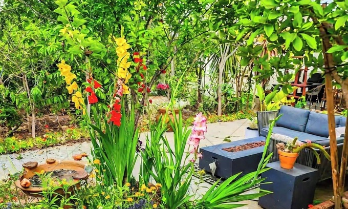 National City House | Charming 1 bedroom orchard retreat 5 miles from downtown San Diego