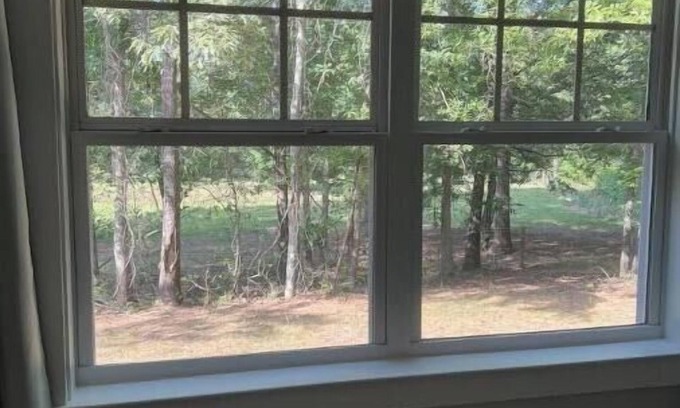 Stephens House | Charming 2-bedroom cottage in Hull GA on a beautiful 26 acre horse farm near UGA