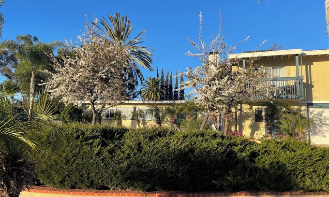 La Mesa House | Charming 2-bedroom house with WiFi and AC in tranquil La Mesa