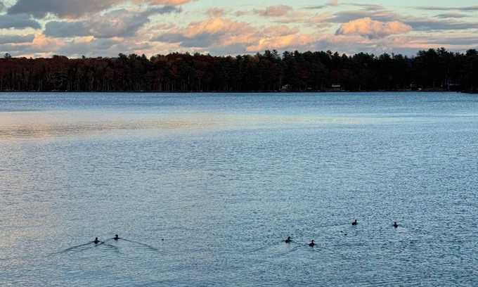 Windsor Cottage | Charming 2-bedroom lakefront cottage in Central Maine with WiFi