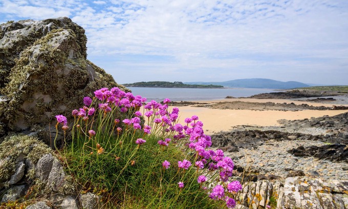 Twynholm House | Charming 200 year old Galloway cottage near Kirkcudbright