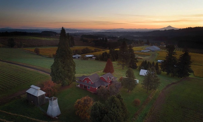 Sherwood Other | Charming 5-bedroom farmhouse surrounded by vines in Sherwood.