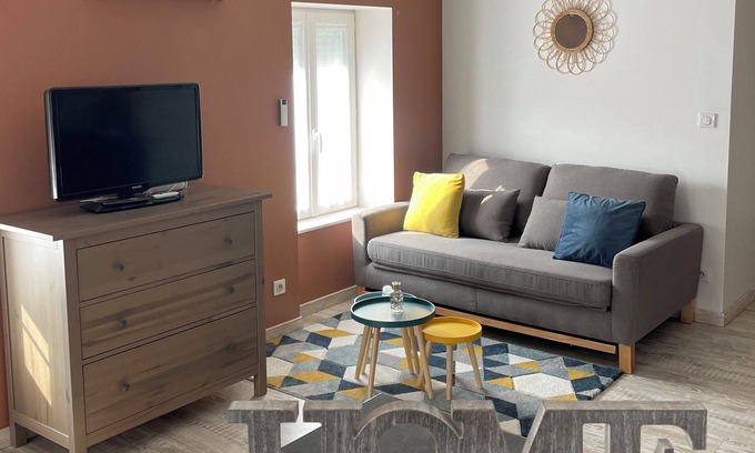 Saint-Just-la-Pendue Apartment | Charming apartment .. in visible stones bright cozy modern in the countryside