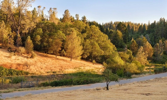 Colfax Apartment | Charming and Peaceful apartment on Historical Ranch Retreat with WiFi in Colfax