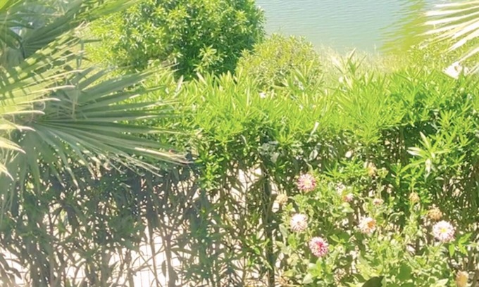 Asilah Apartment | Charming apartment