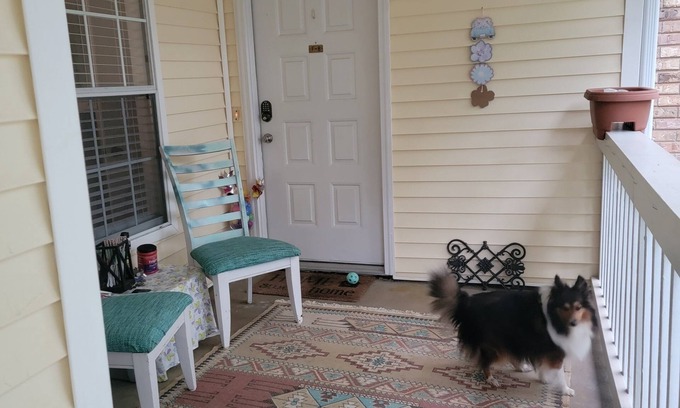 Ferry Pass Condo | Charming Artist's nook - 1-bed condo with WiFi, AC. Close to beach and shopping