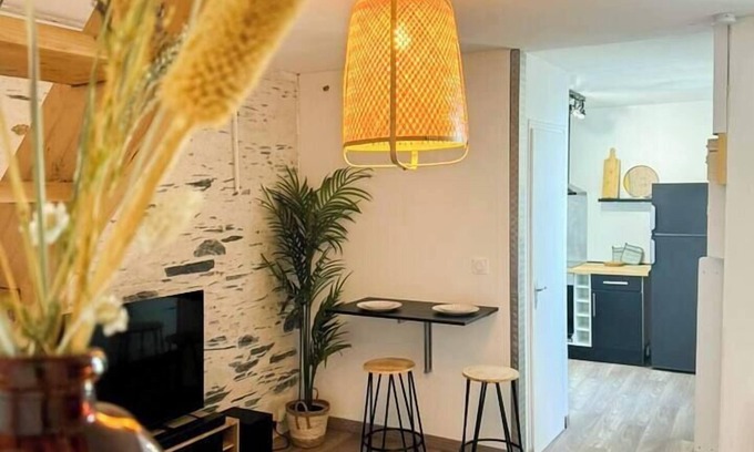 Downtown Angers Apartment | Charming Bright Duplex