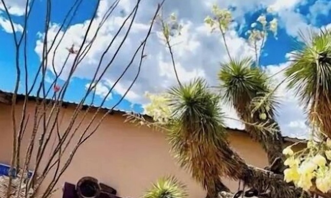 Van Horn House | Charming bungalow with WiFi and AC in welcoming Van Horn