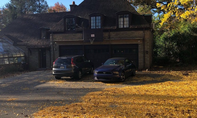 Wynnewood Apartment | Charming Carriage house apartment in prime location + Free Parking