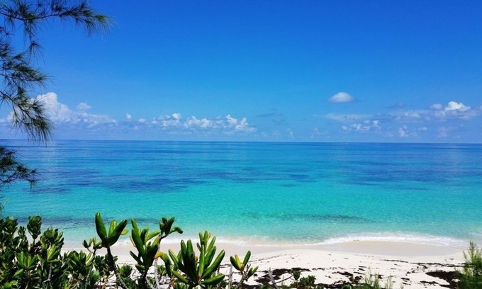 North Palmetto Point Cottage | Charming Cottage Walk to Beach and Pool. Resort Privileges