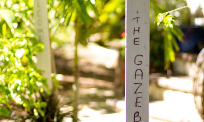 Grace Bay Cottage | Charming Cottage nestled within the trees.