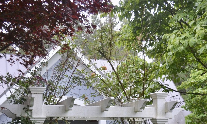 Culpeper Cottage | Charming Cottage in Horse Country Near Blue Ridge