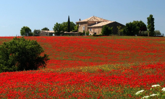 Valensole Other | Charming country house with swimming pool