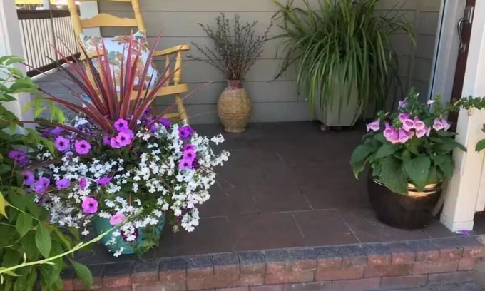 Petaluma House | Charming cozy cottage downtown Petaluma