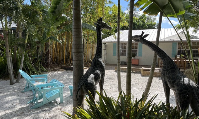 Naples Park House | Charming dog-friendly, private tropical back yard. 3 bed - 2 bath, Great value!