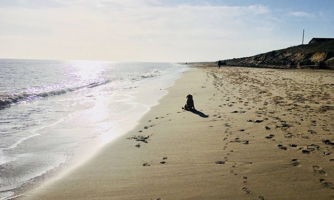 Winterton-on-Sea House | Charming, dog friendly fisherman’s cottage - moments from the beach
