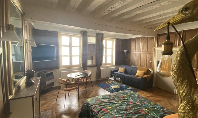 Auxerre Apartment | Charming F1 apartment, quiet, in the town center, Parking at the foot of the building