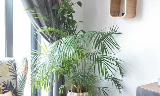 Cheltenham Apartment | Charming garden apartment centrally located with free parking